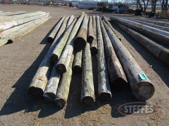 (15) Wood utility poles_0.JPG